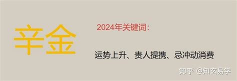 2024辛金|年运